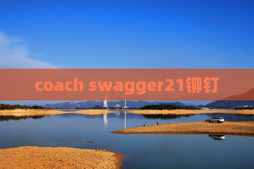 coach swagger21铆钉